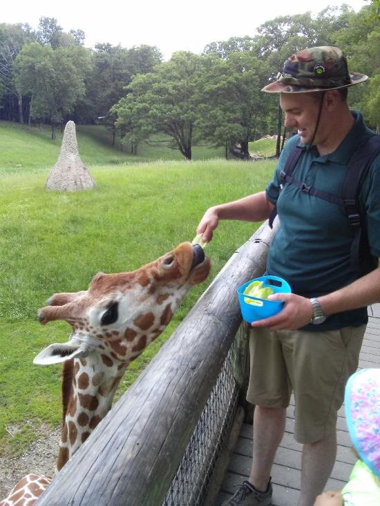 🦁 히타치시 카미네 동물원 이미지 7